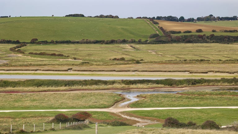 Looking west across Chyngton Brooks from the eastern South Downs Way
